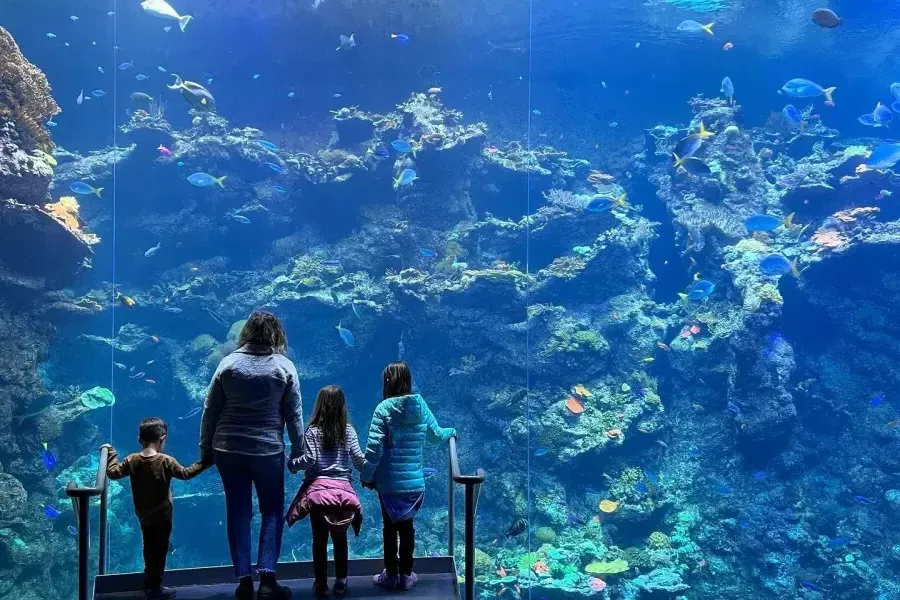 Family with Aquarium by the Bay